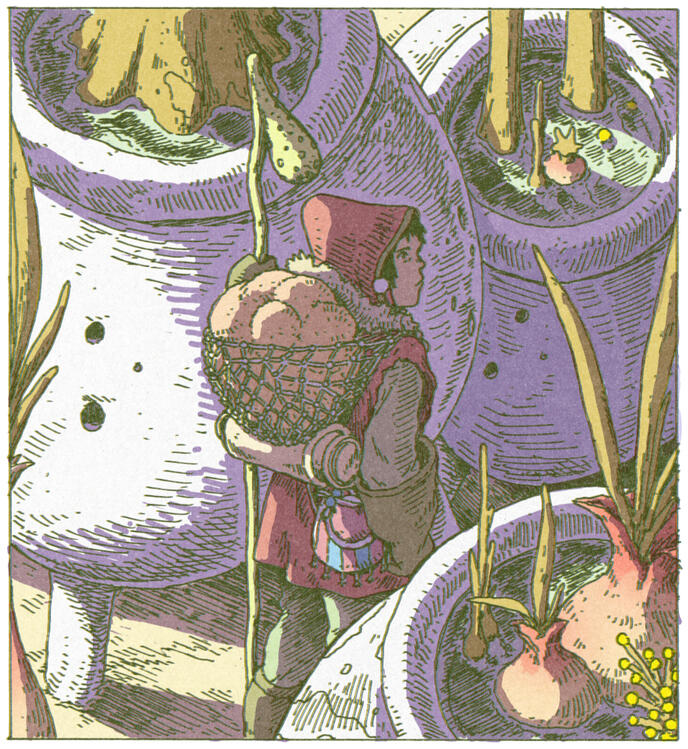 Pot Garden, personal illustration